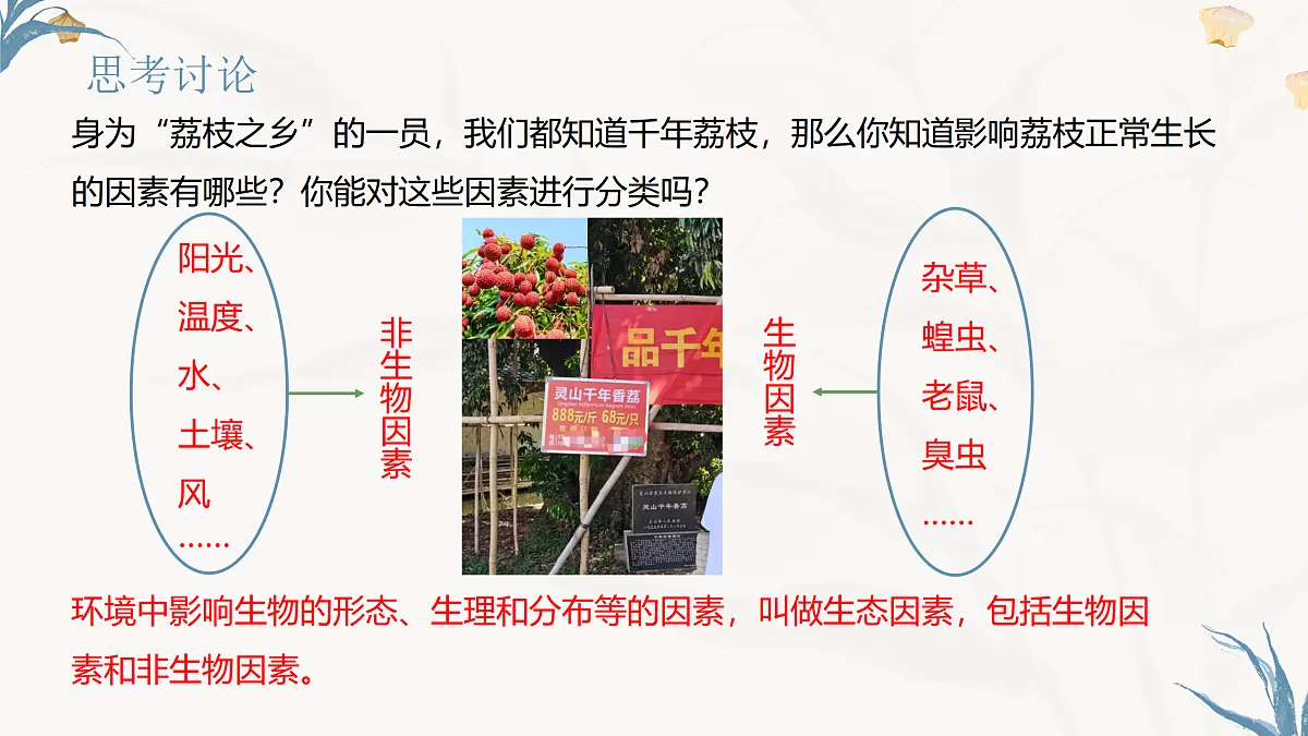 【核心素养目标】冀少版初中生物八年级下册7.1.1《非生物因素对环境的影响》课件第5页