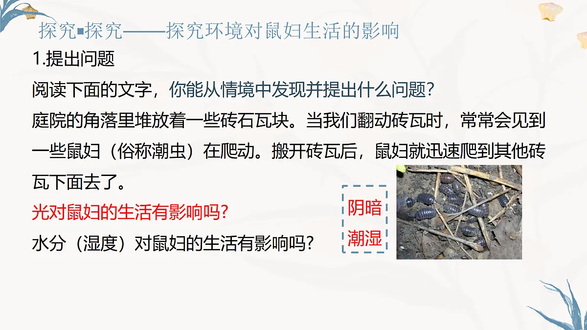 【核心素养目标】冀少版初中生物八年级下册7.1.1《非生物因素对环境的影响》课件第6页