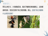 【核心素养目标】冀少版初中生物八年级下册7.1.2.1《生物因素对生物的影响》课件+教学设计