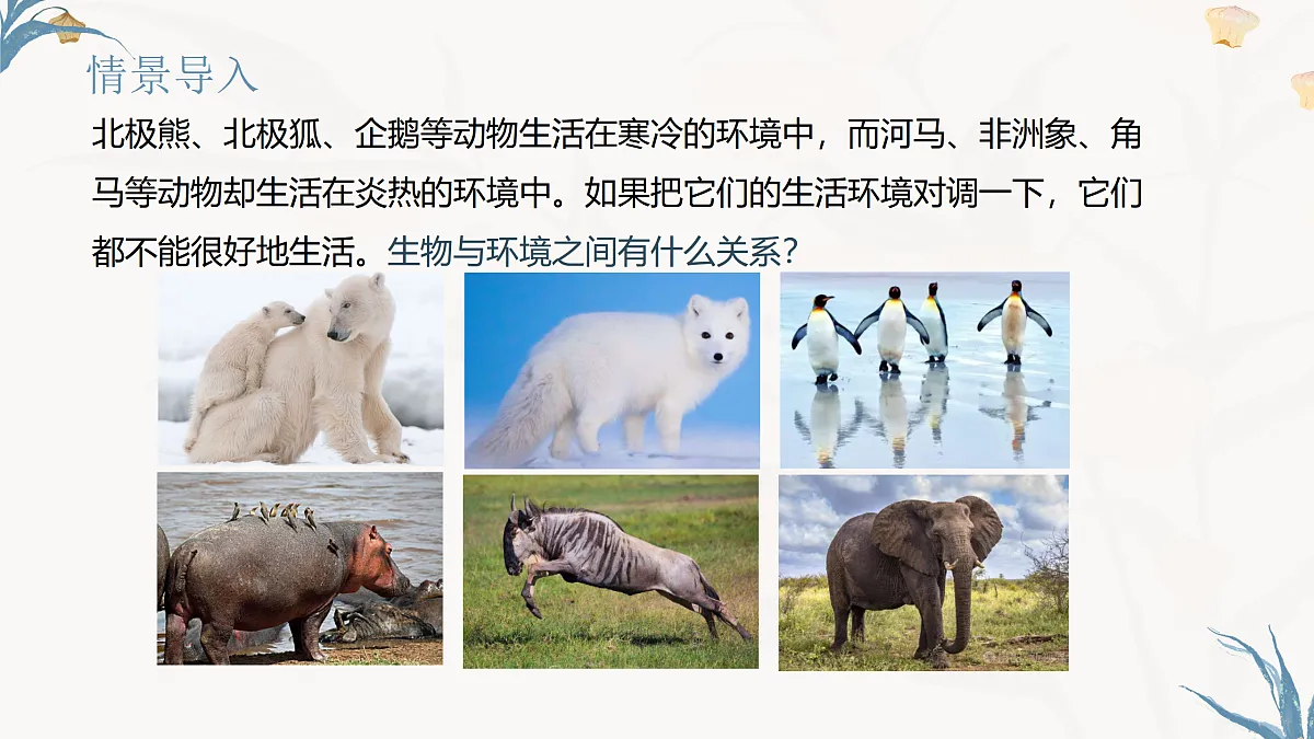【核心素养目标】冀少版初中生物八年级下册7.1.2.2《生物对环境的适应和影响》课件第2页
