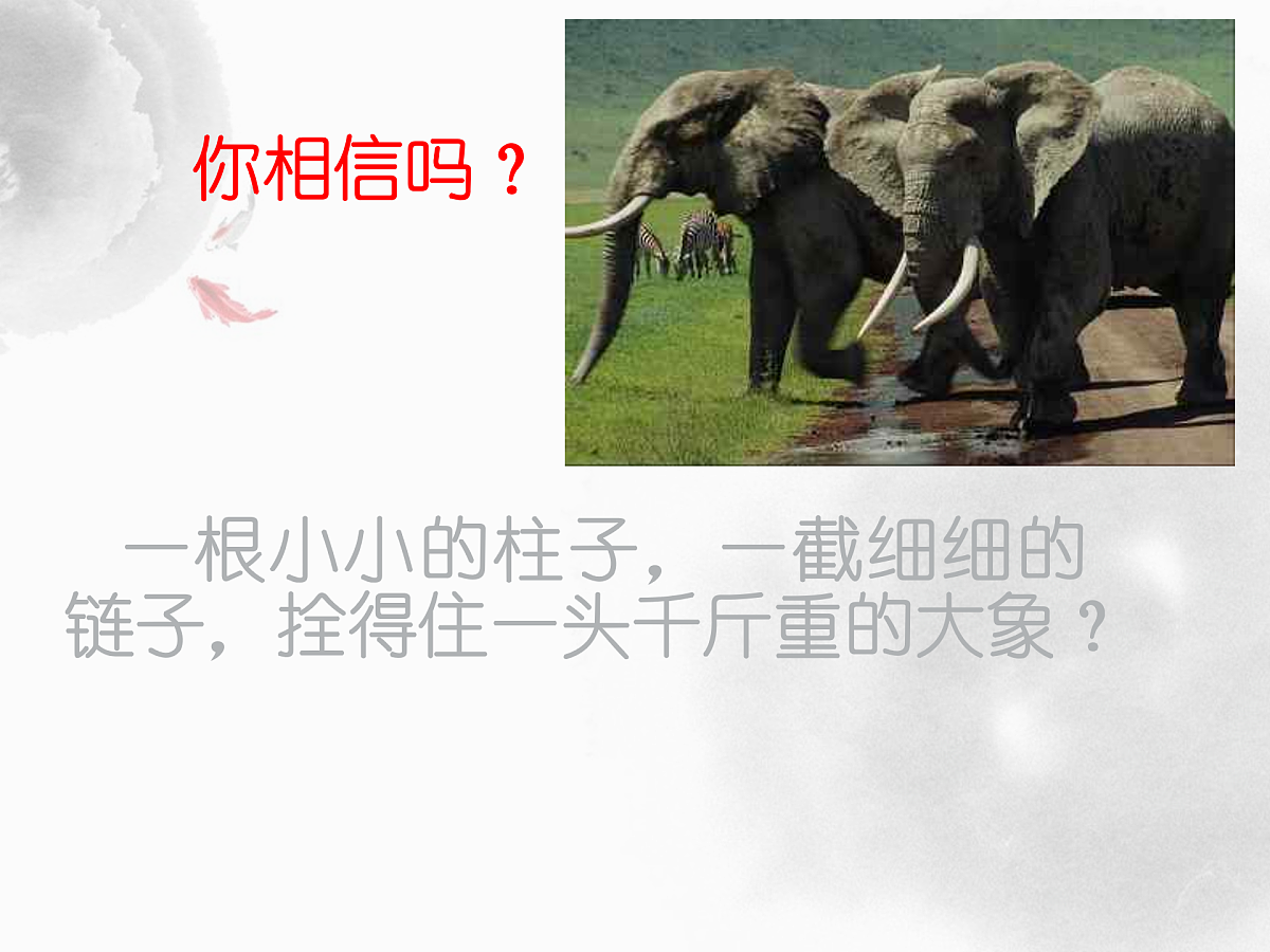 17516562第3页