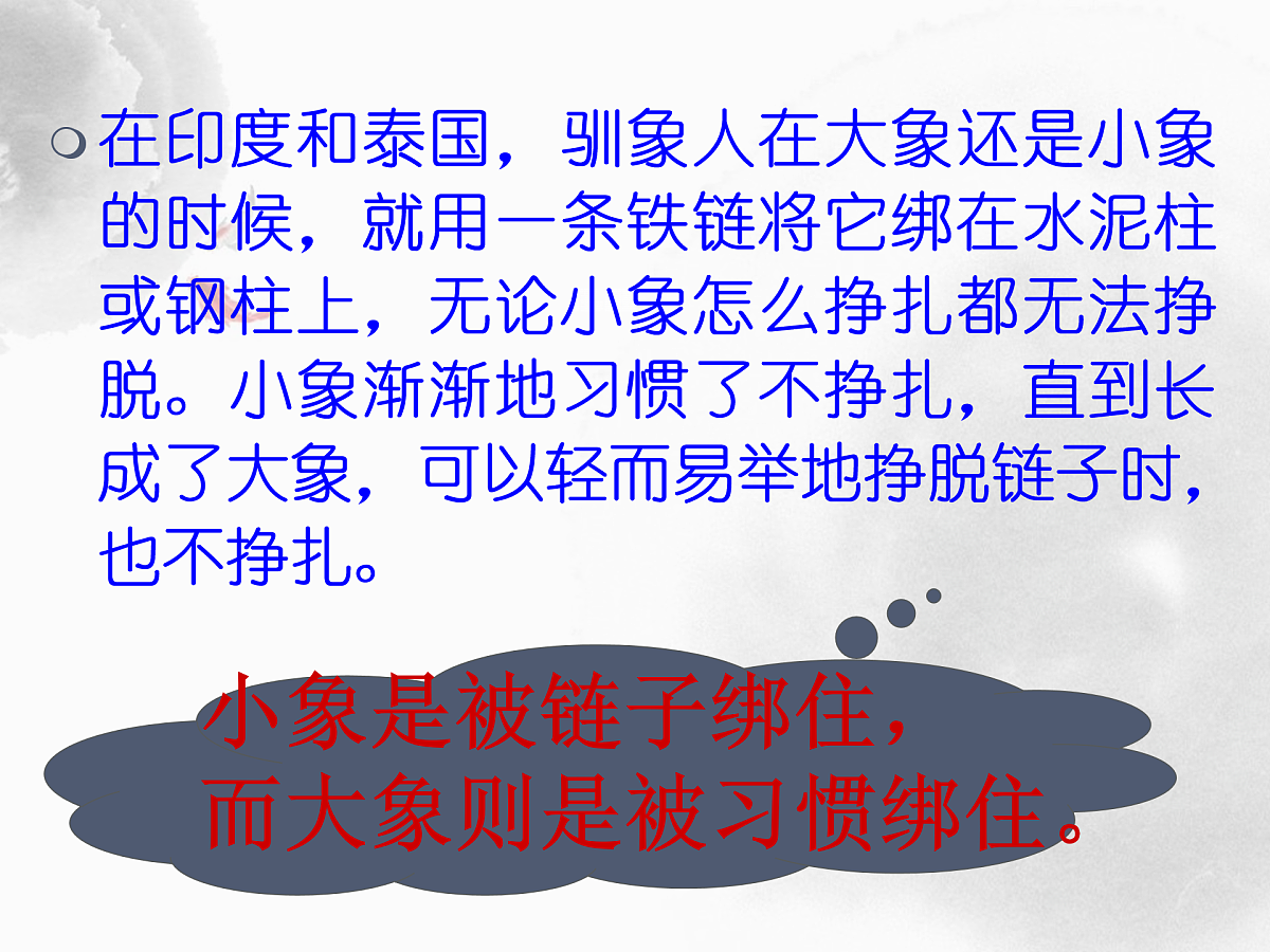 17516562第4页