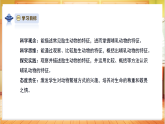 【教学评一体化】大象版三上科学  3.3《哺乳动物》课件+教学设计表格式+单元整体教案