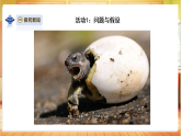 【教学评一体化】大象版三上科学  3.3《哺乳动物》课件+教学设计表格式+单元整体教案