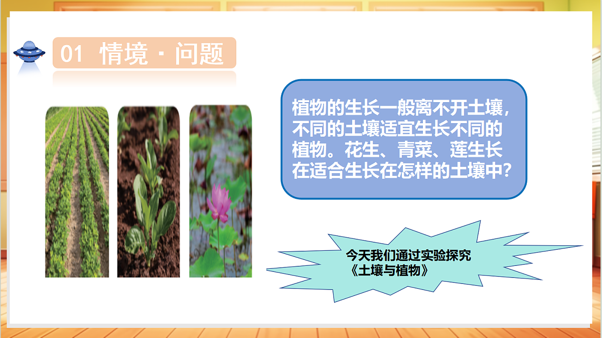 4.18 土壤与植物（教学课件）科学粤教粤科版三年级上册（新教材）第5页