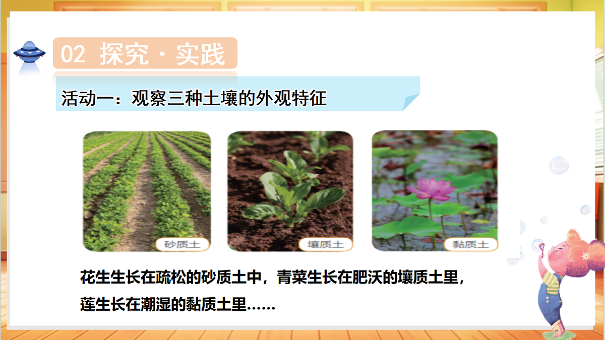 4.18 土壤与植物（教学课件）科学粤教粤科版三年级上册（新教材）第6页