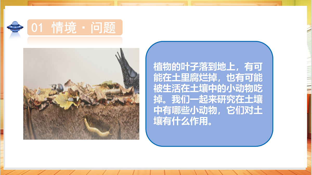 4.19 生机勃勃的土壤（教学课件）科学粤教粤科版三年级上册（新教材）第5页