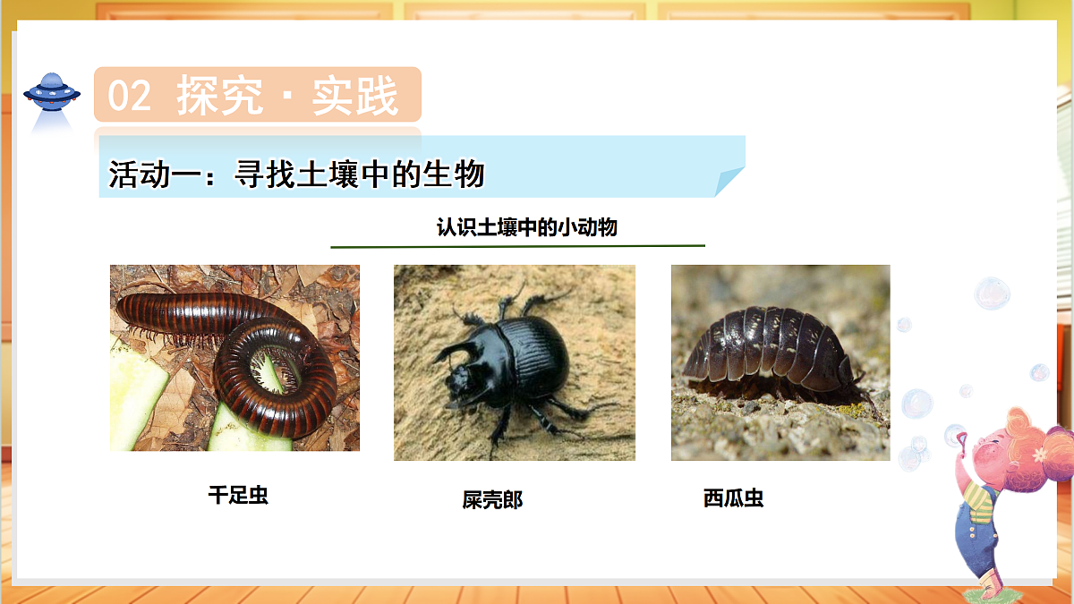4.19 生机勃勃的土壤（教学课件）科学粤教粤科版三年级上册（新教材）第7页