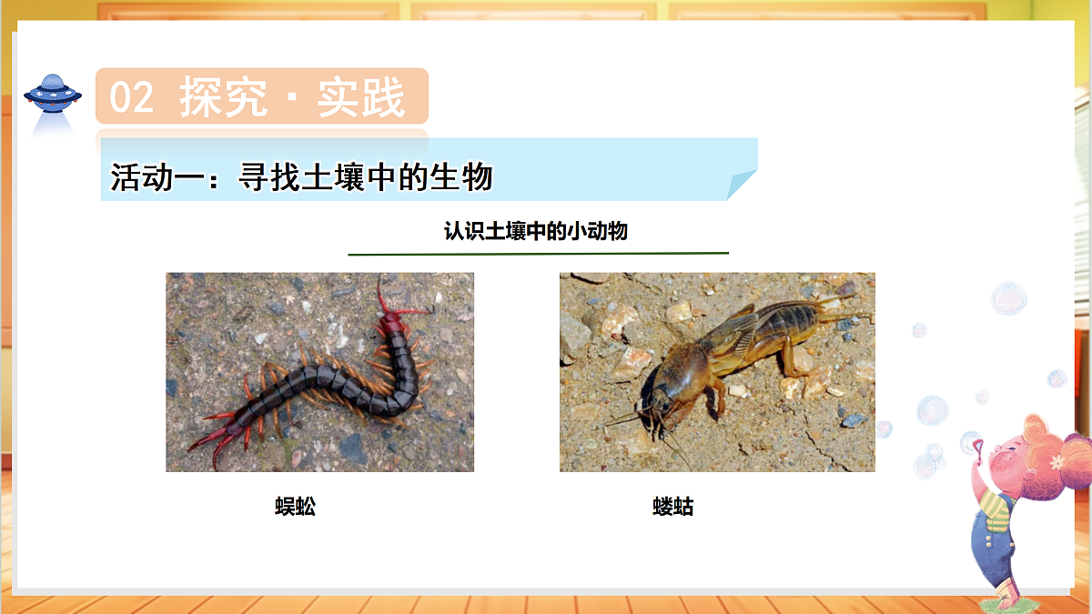 4.19 生机勃勃的土壤（教学课件）科学粤教粤科版三年级上册（新教材）第8页