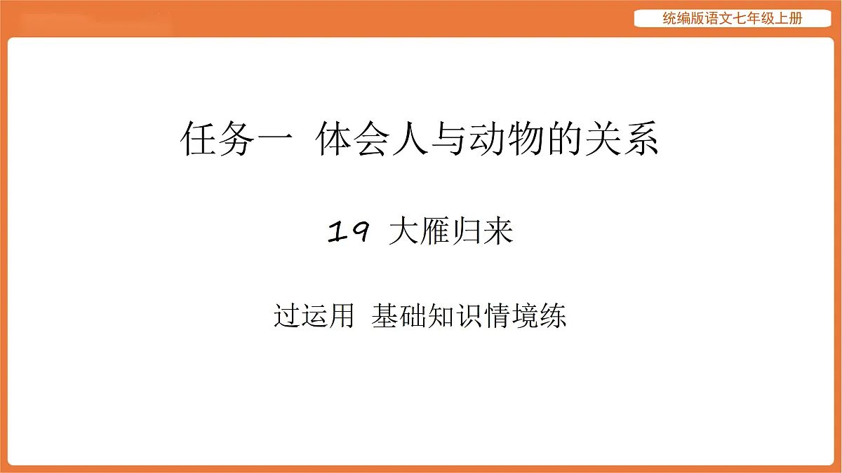 17516818第1页