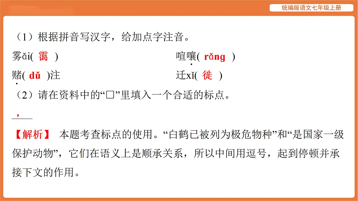 17516818第4页