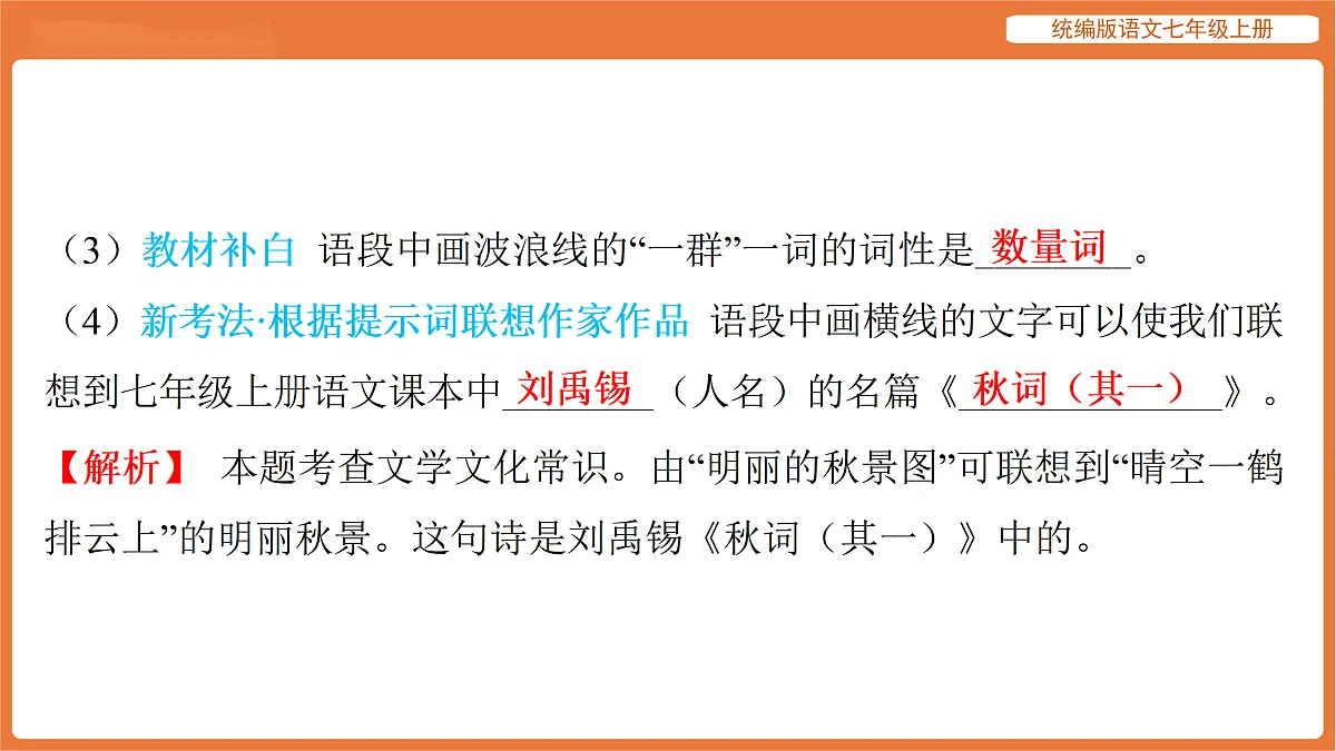 17516818第5页