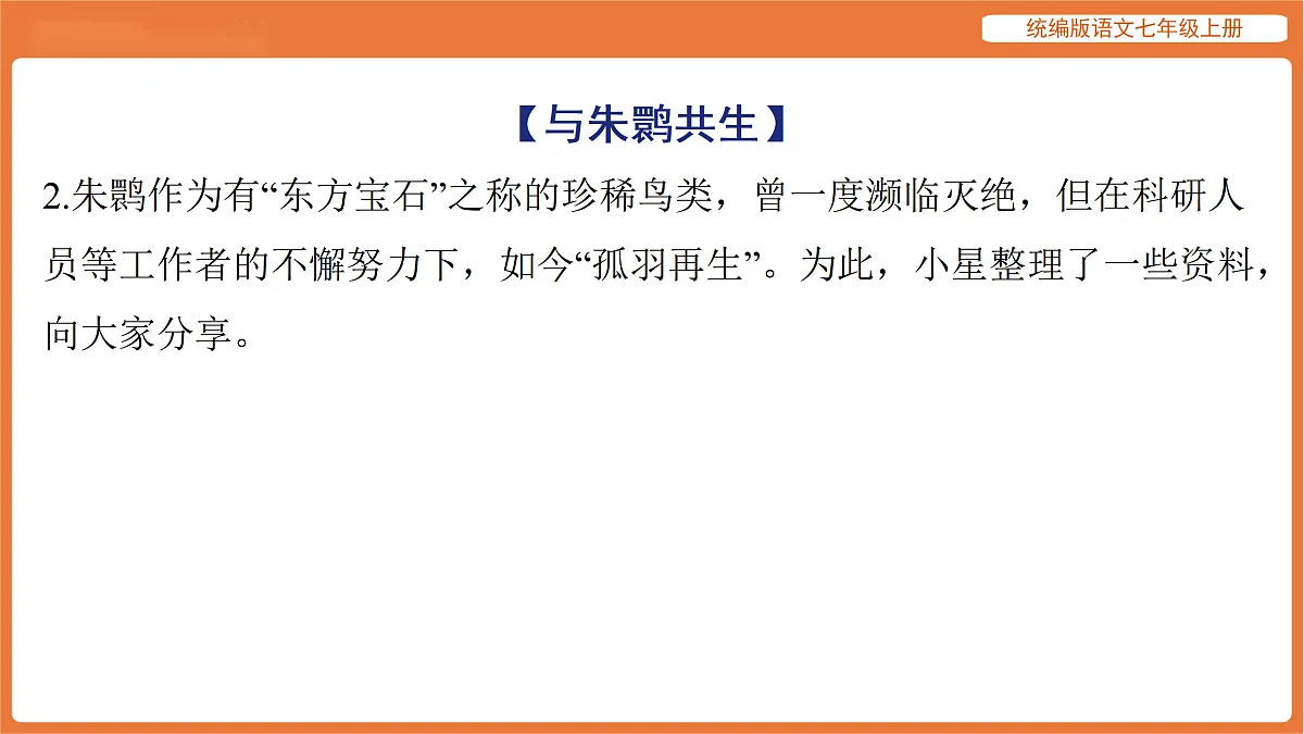 17516818第6页