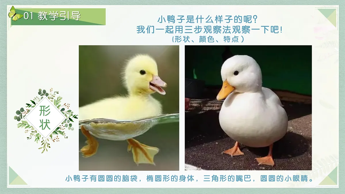17517548第7页