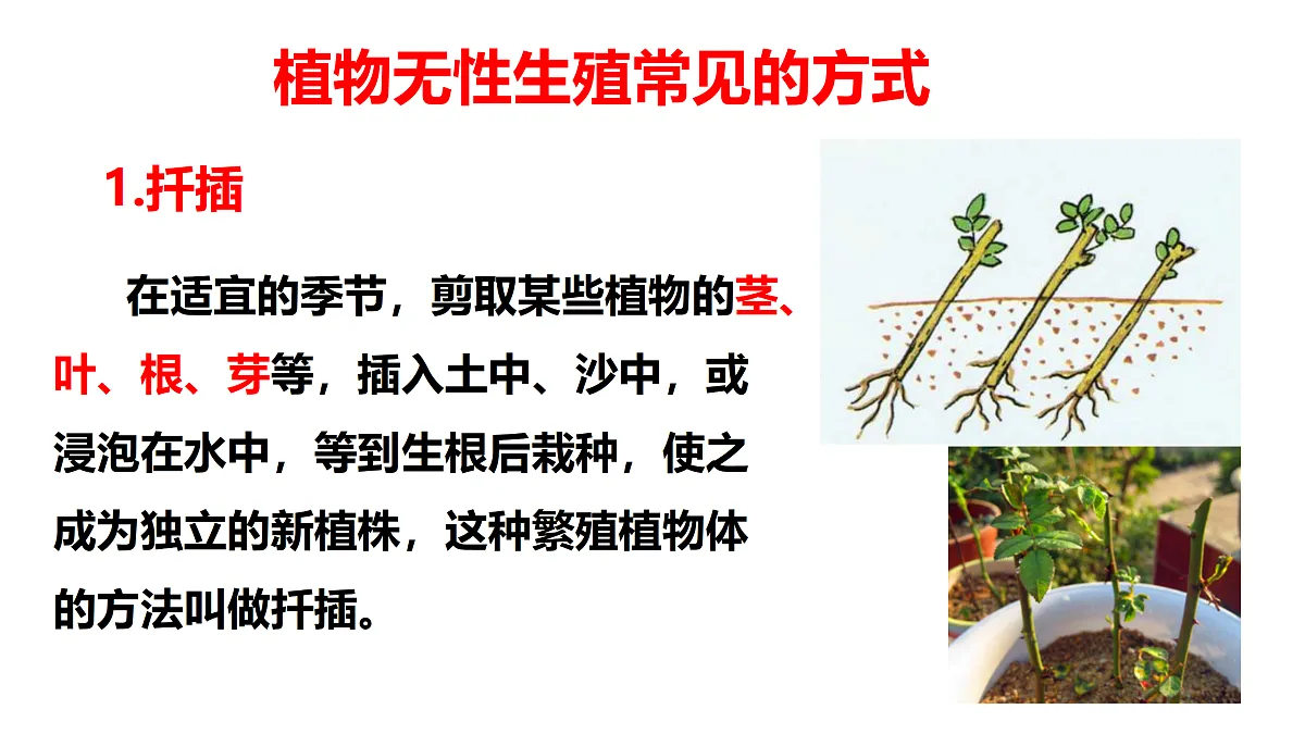 17520474第7页