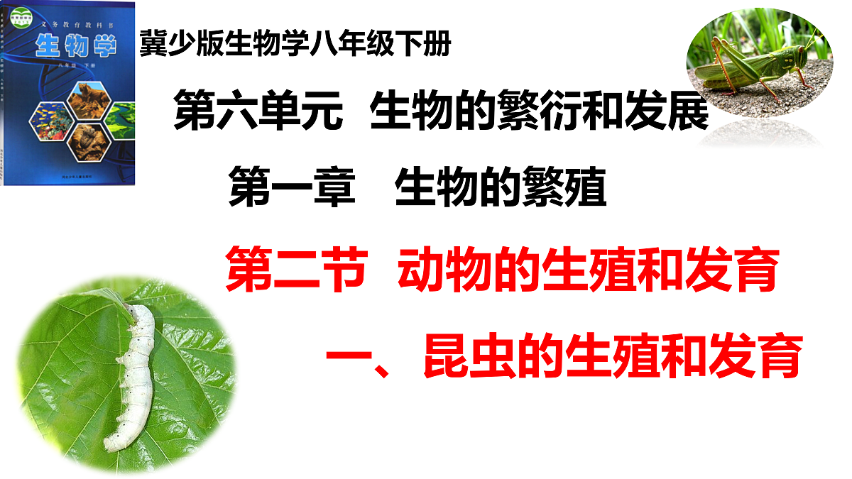 17520475第1页