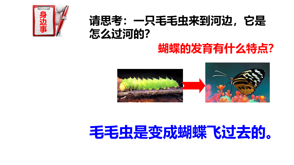 17520475第2页