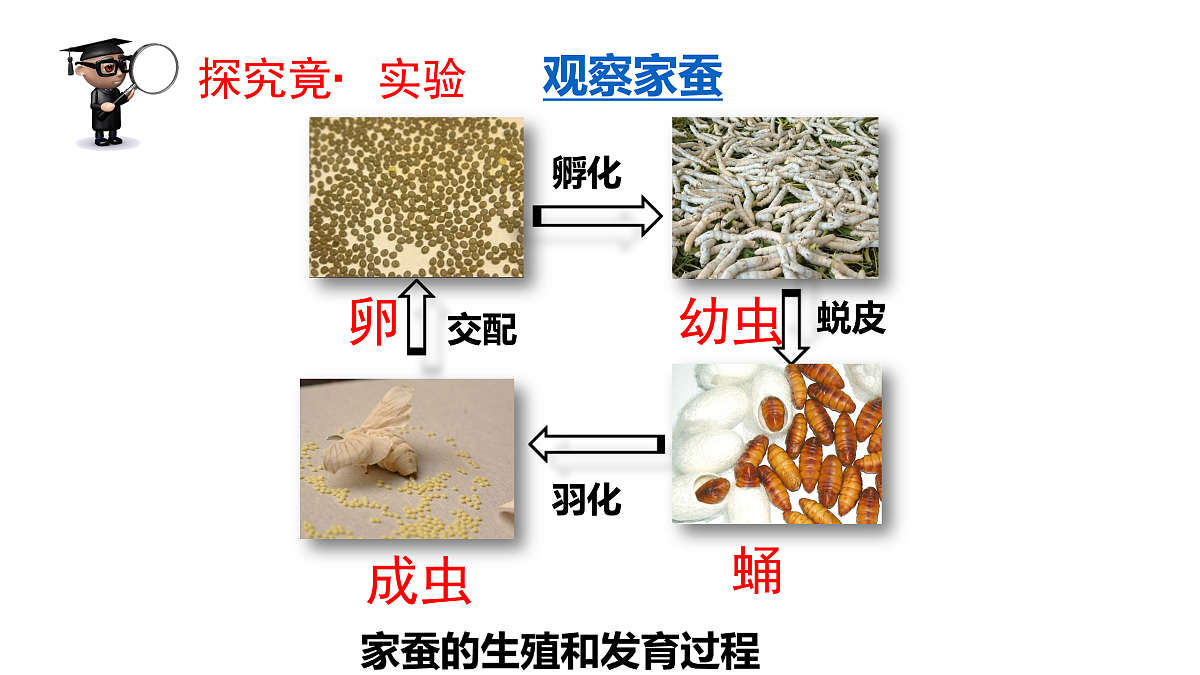 17520475第4页