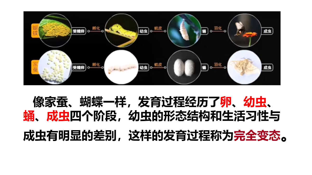 17520475第7页