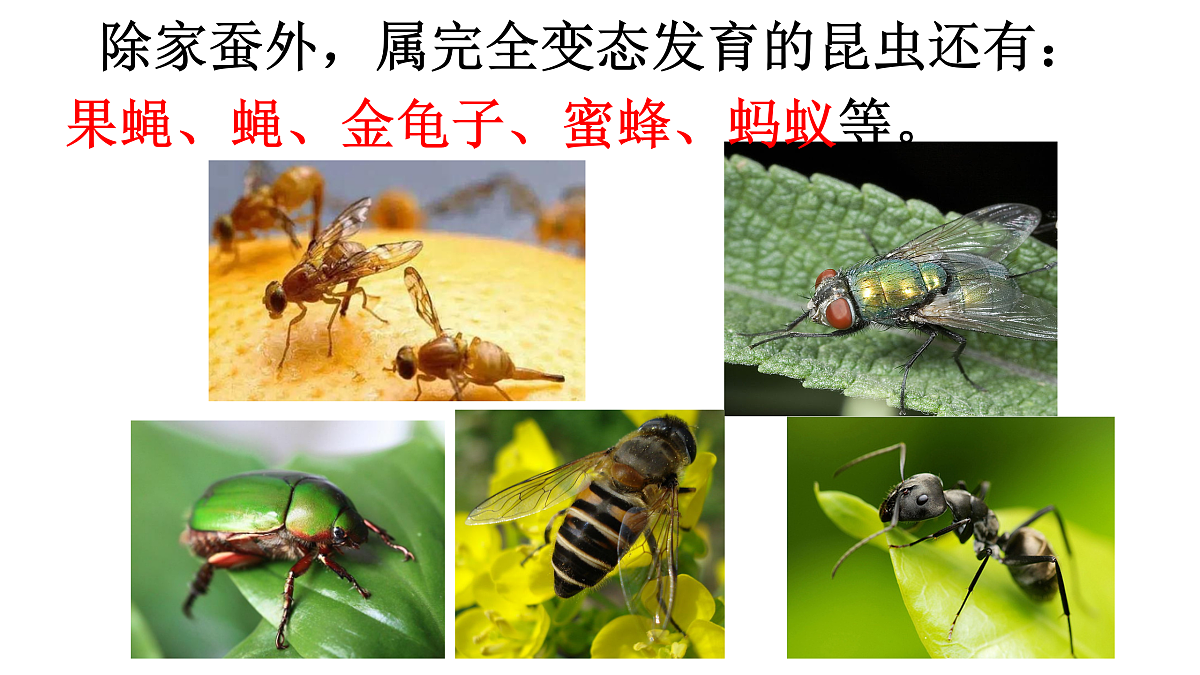 17520475第8页