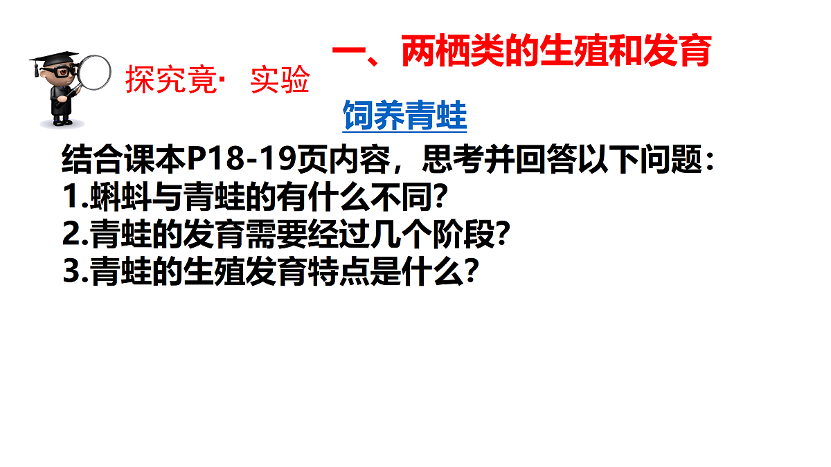 17520476第4页