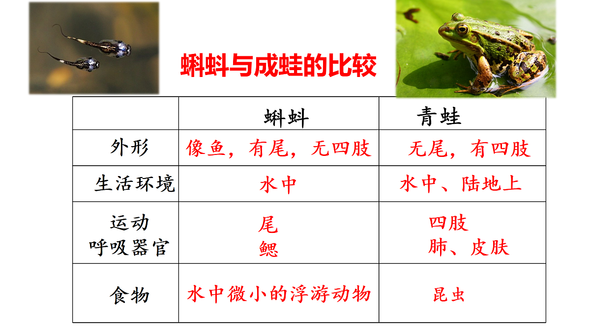 17520476第6页