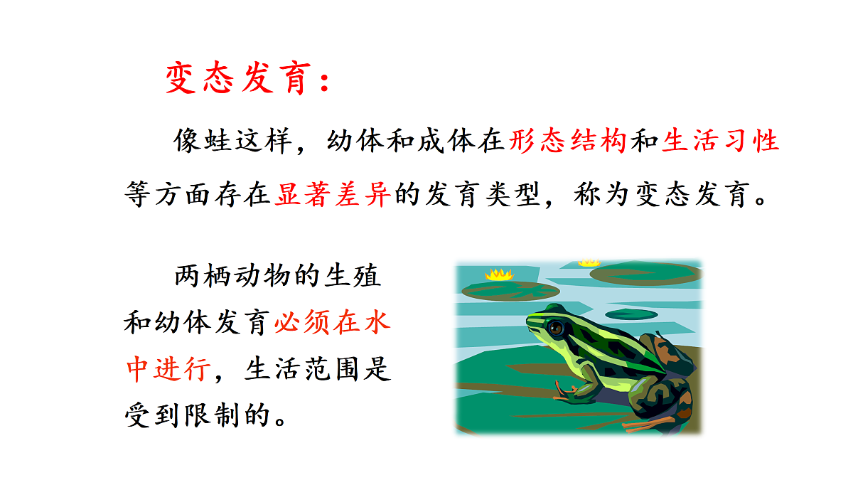 17520476第8页