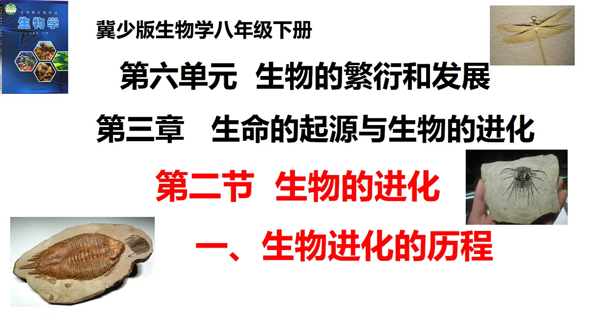 17520478第1页