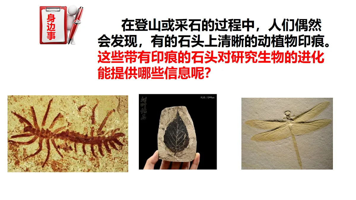 17520478第2页