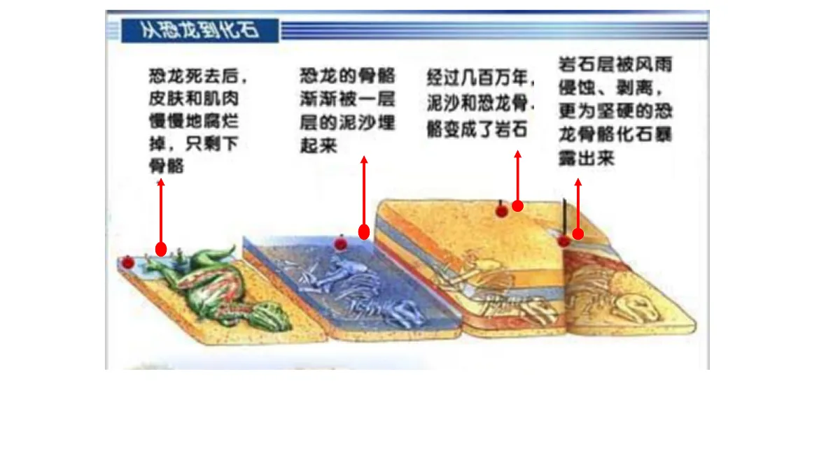 17520478第5页