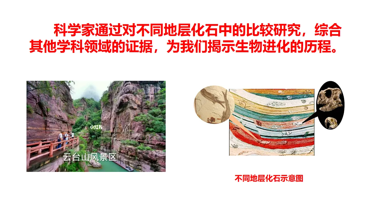17520478第6页