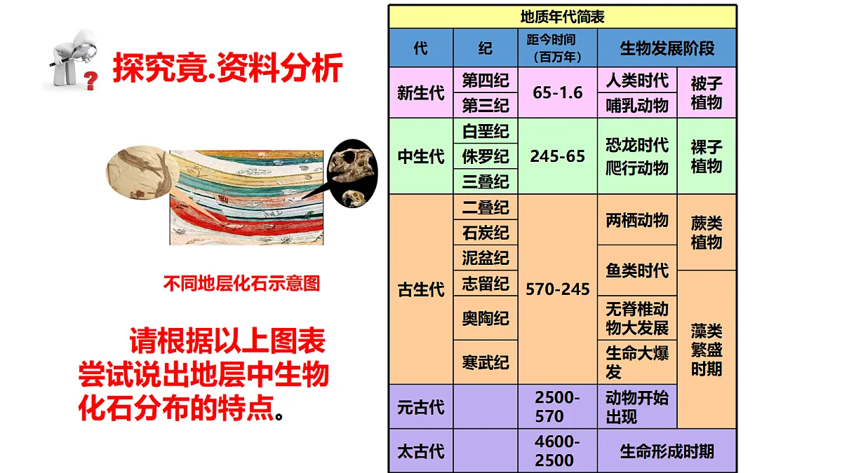 17520478第7页