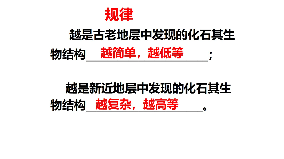 17520478第8页