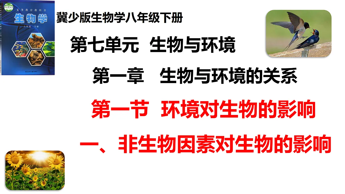 17520480第1页