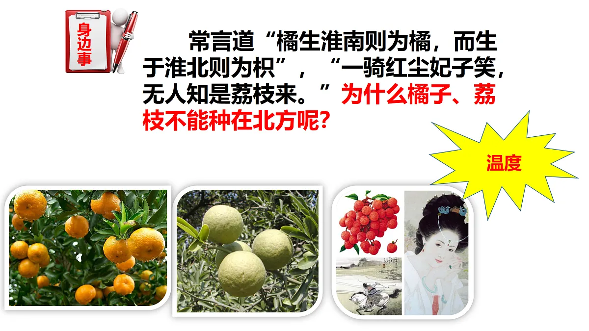 17520480第3页