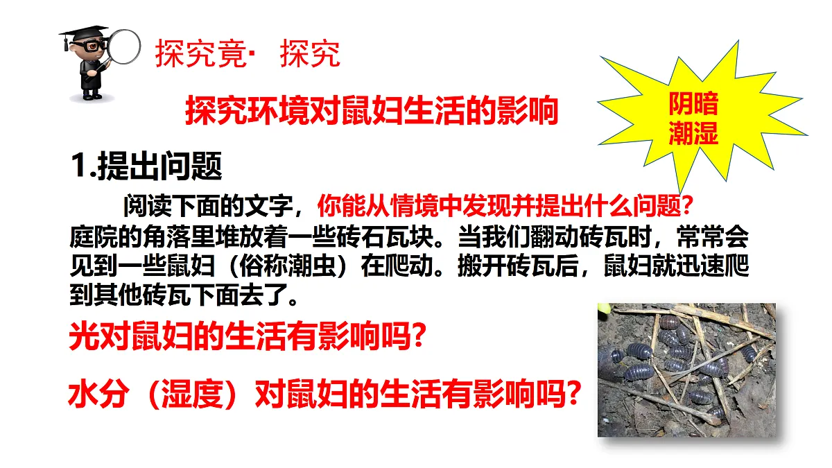 17520480第5页