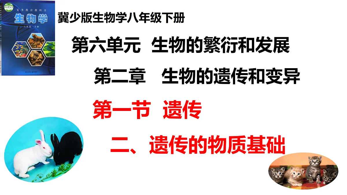 17520598第1页