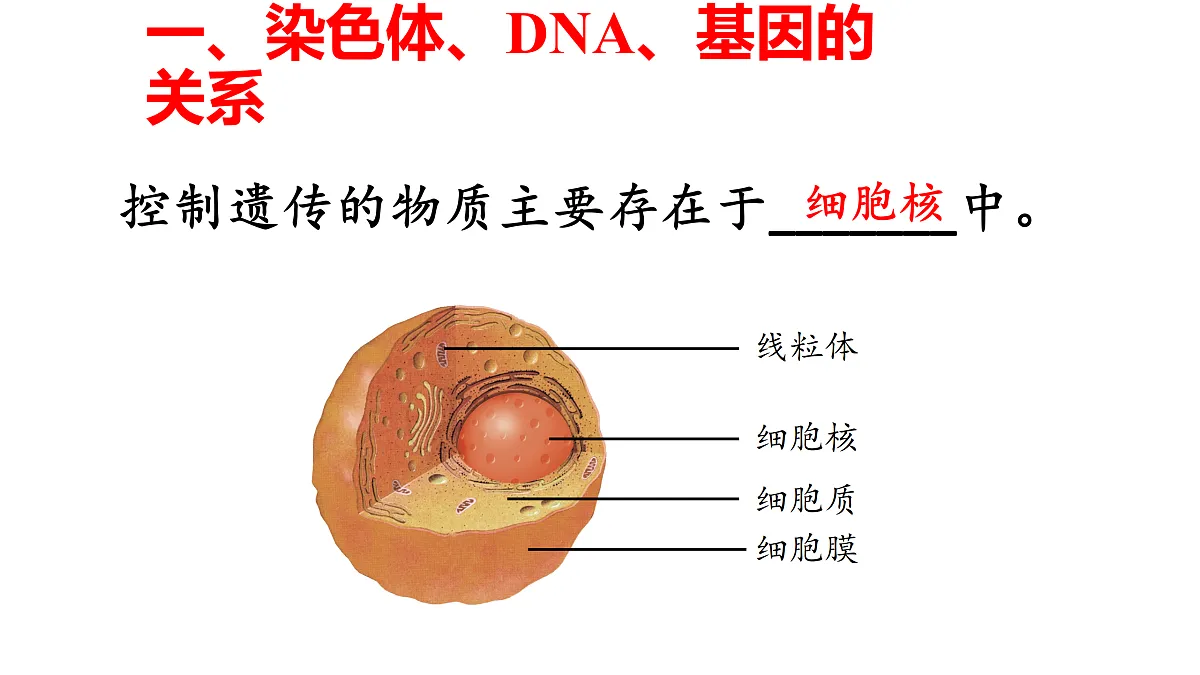17520598第5页