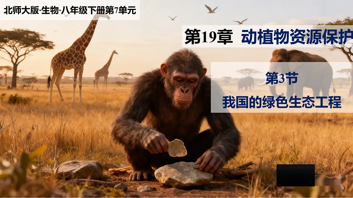 八下（北师大版2024）19.3我国的绿色生态工程 课件第1页
