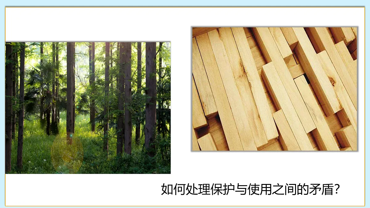 八下（北师大版2024）19.3我国的绿色生态工程 课件第4页