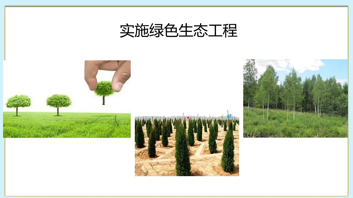 八下（北师大版2024）19.3我国的绿色生态工程 课件第8页