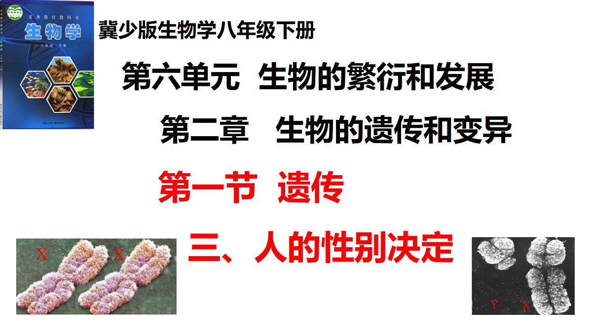17520914第1页