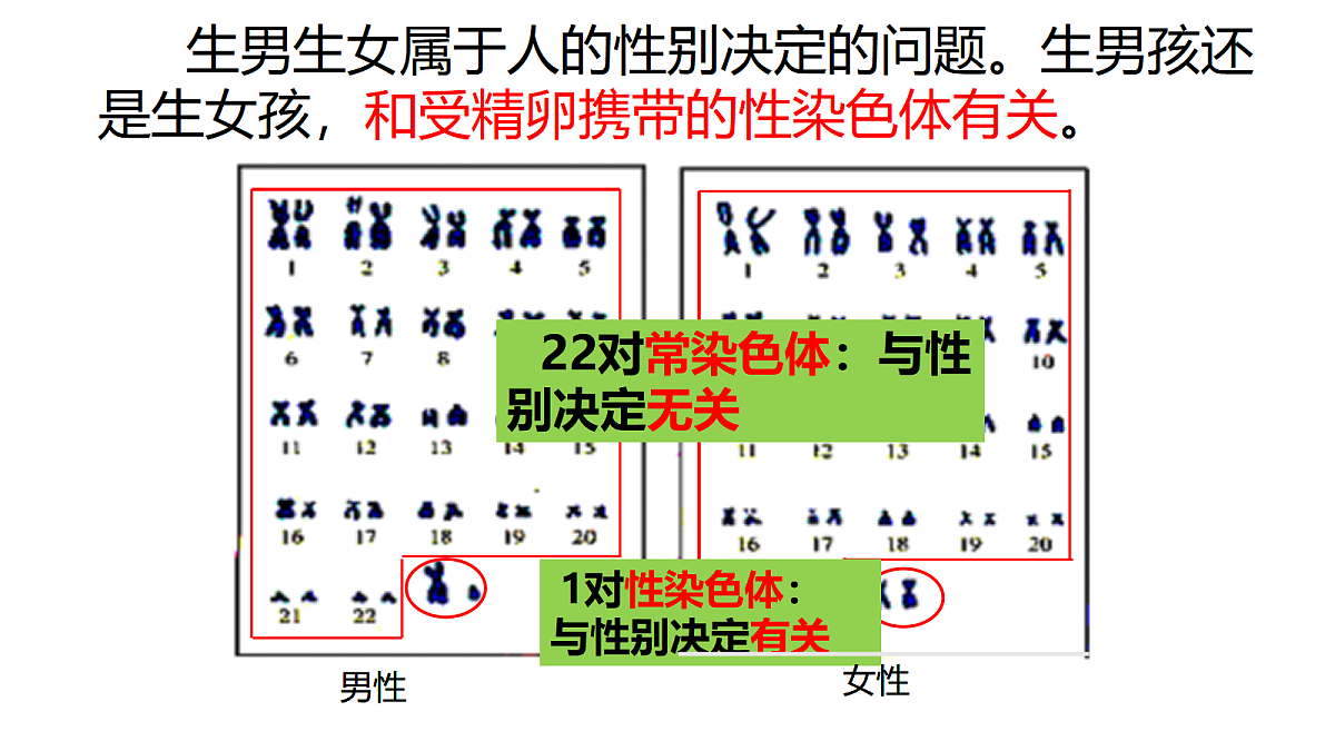 17520914第4页