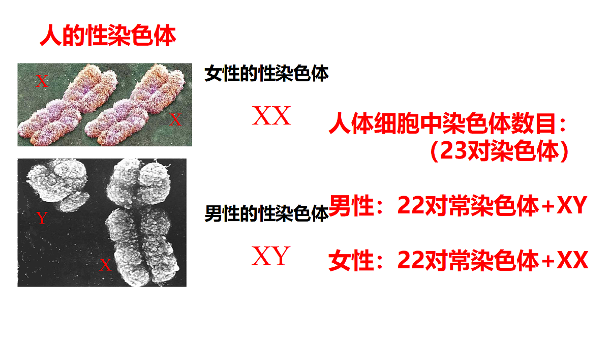 17520914第5页
