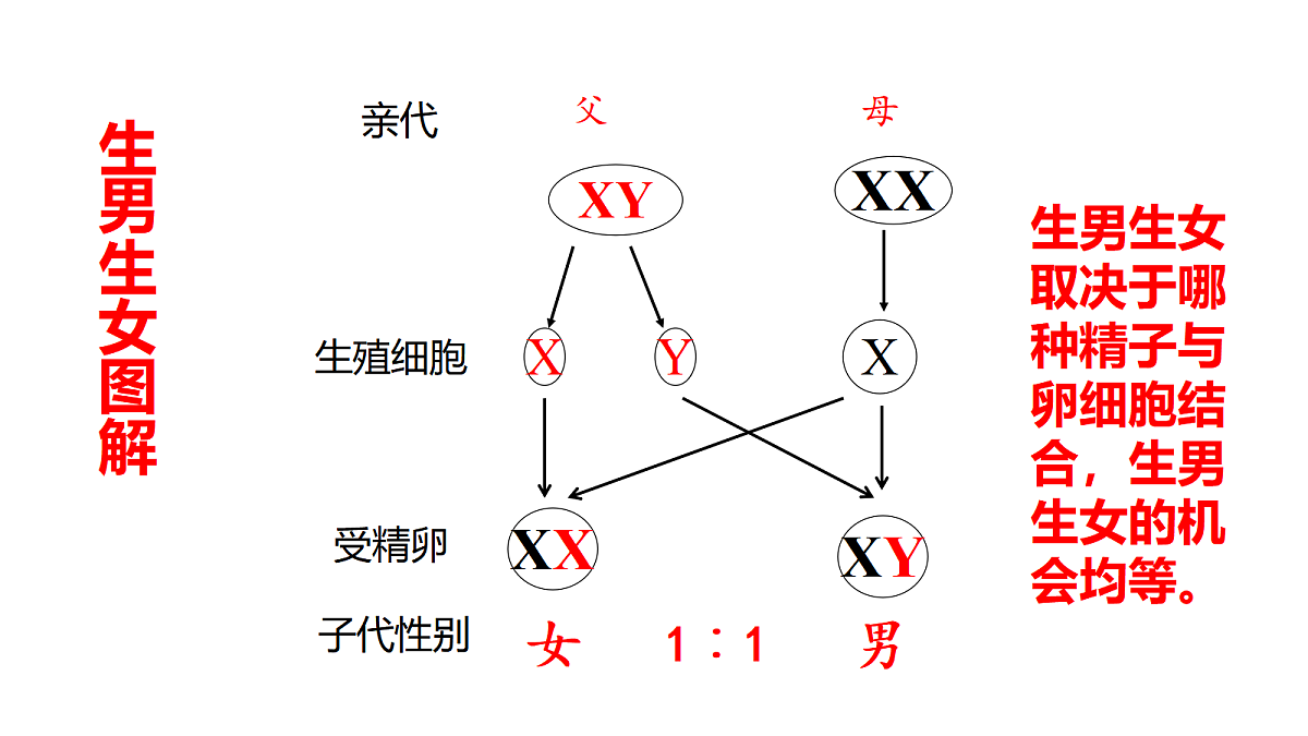 17520914第7页