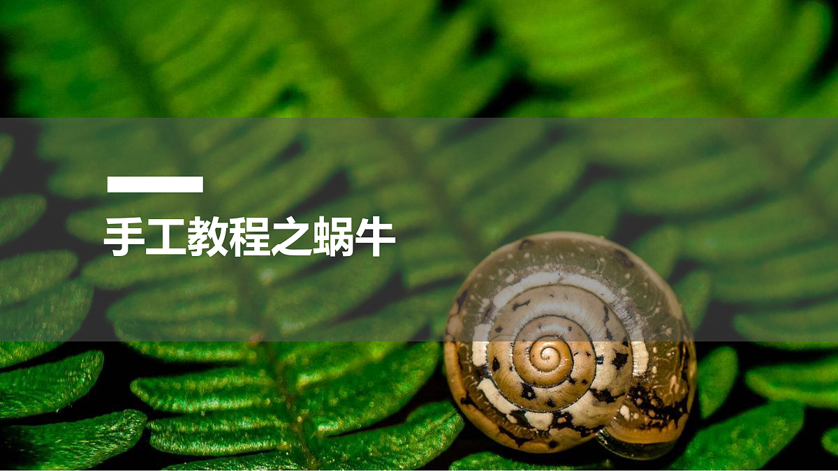 17521446第1页