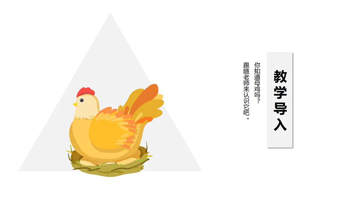 17521449第3页