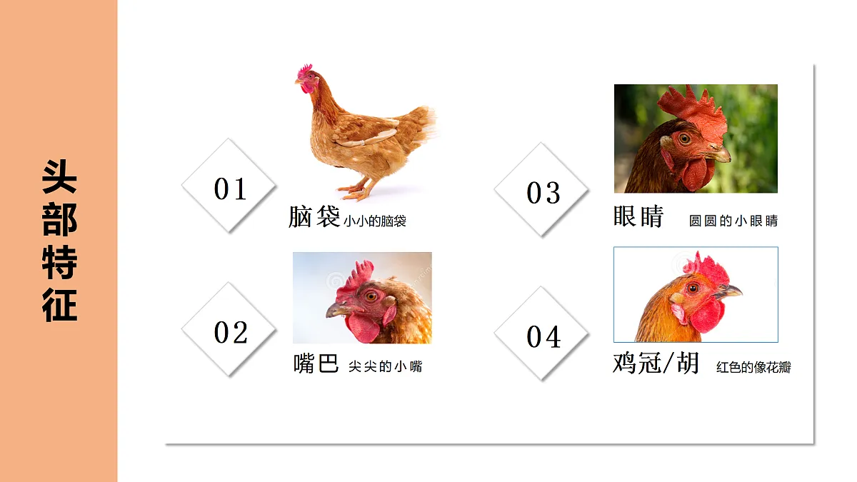 17521449第7页
