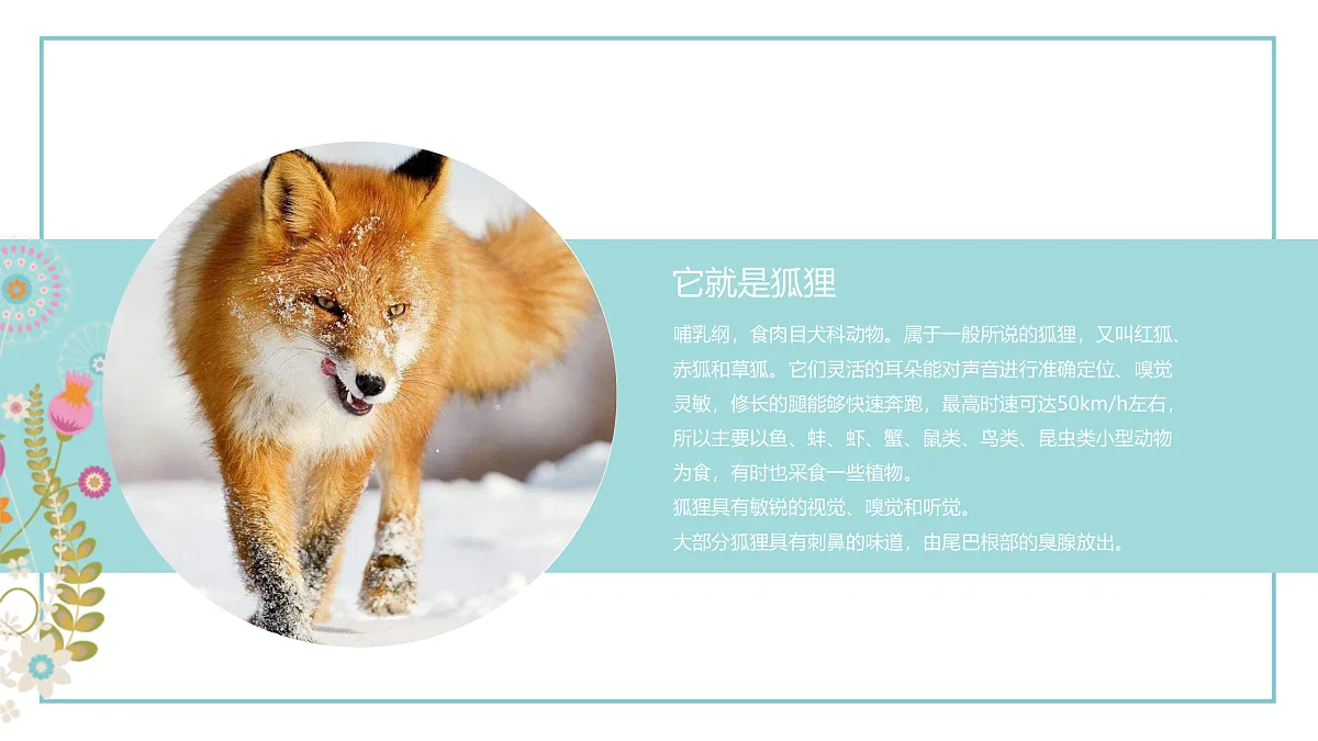 17521451第5页