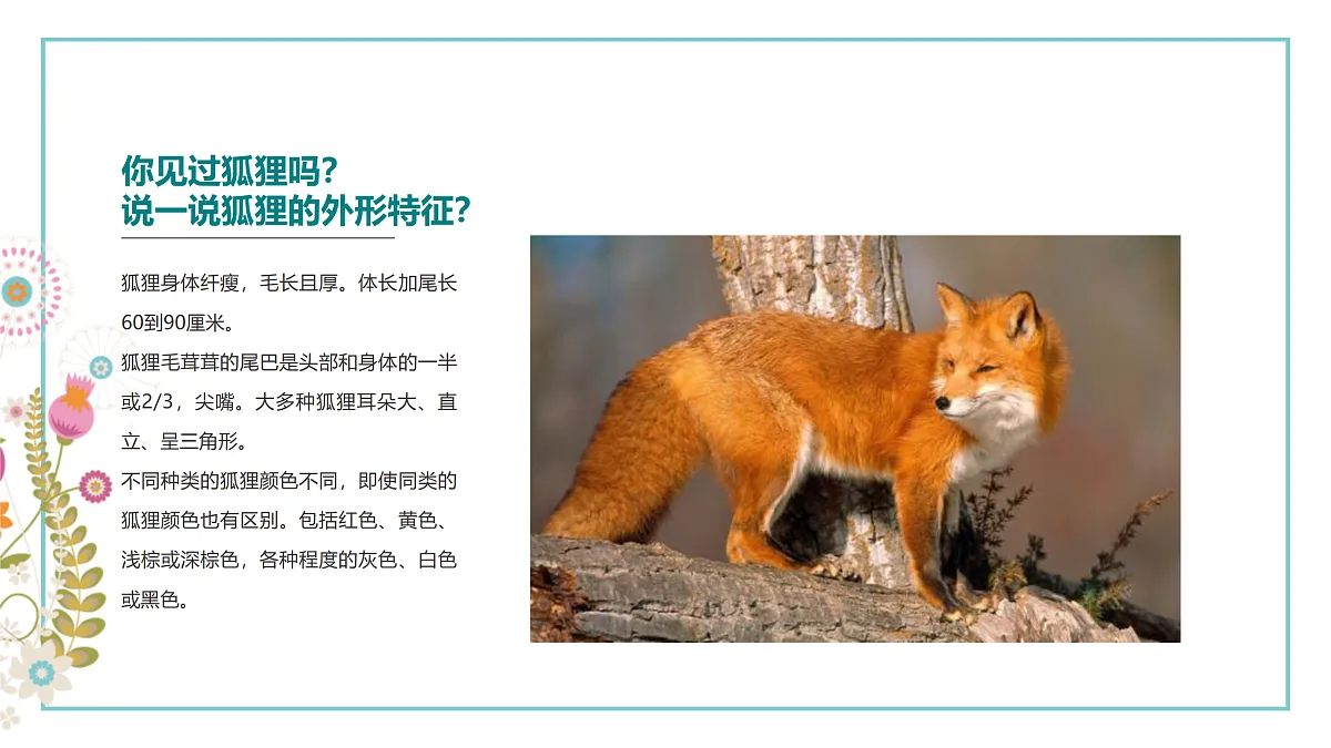 17521451第6页